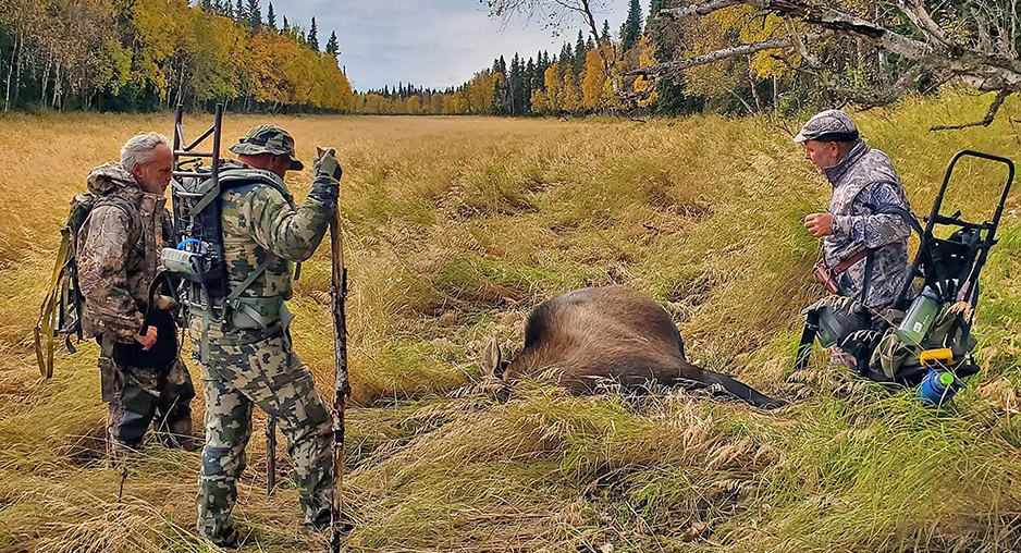 Moose Hunting In Alaksa